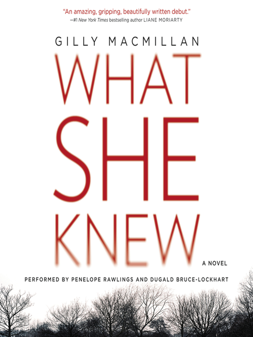 Title details for What She Knew by Gilly Macmillan - Available